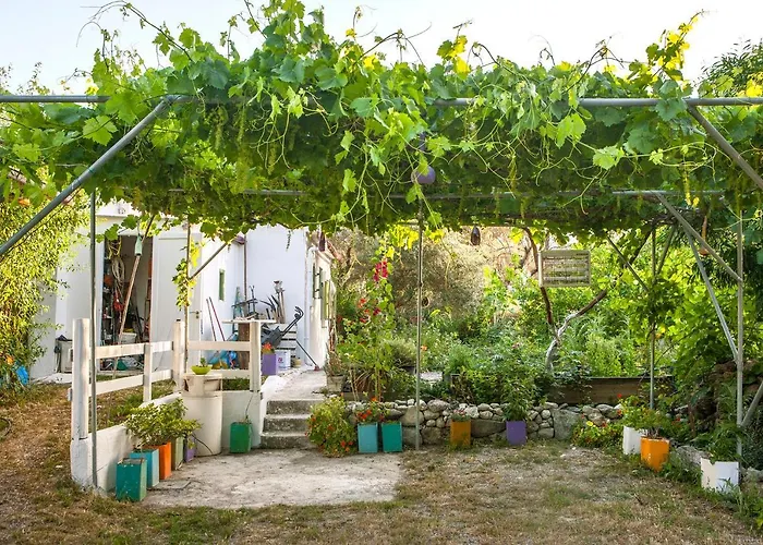 Oliveyard Stone Built House- With Pool Non Chlorin Villa