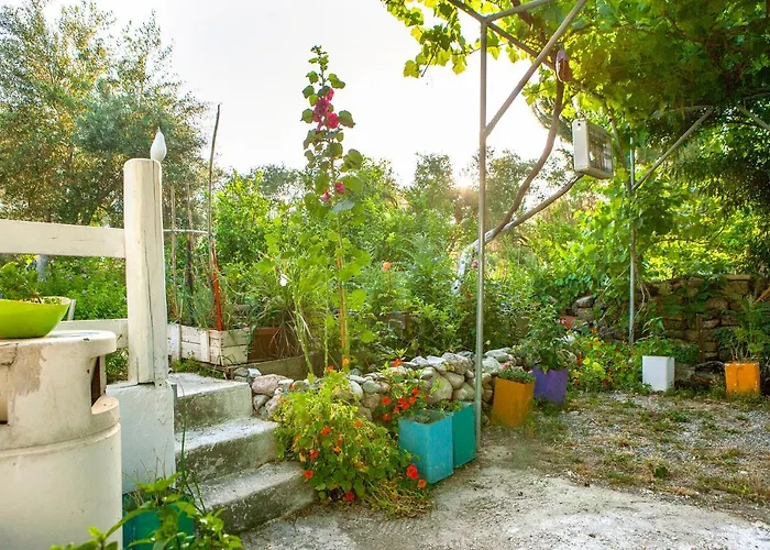 Oliveyard Stone Built House- With Pool Non Chlorin Villa *