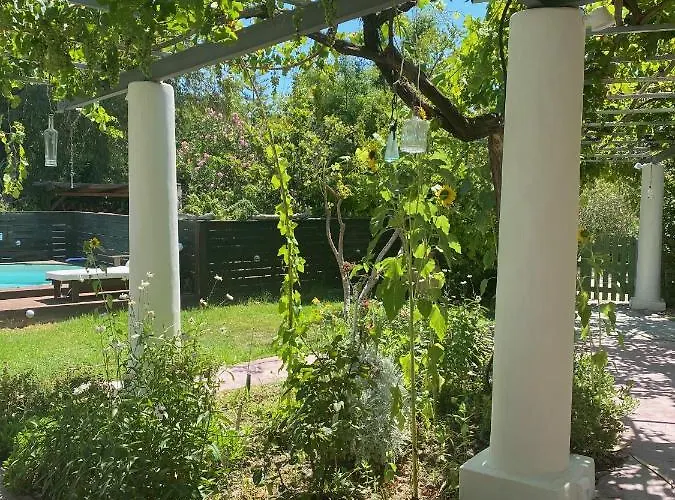 Oliveyard Stone Built House- With Pool Non Chlorin Villa