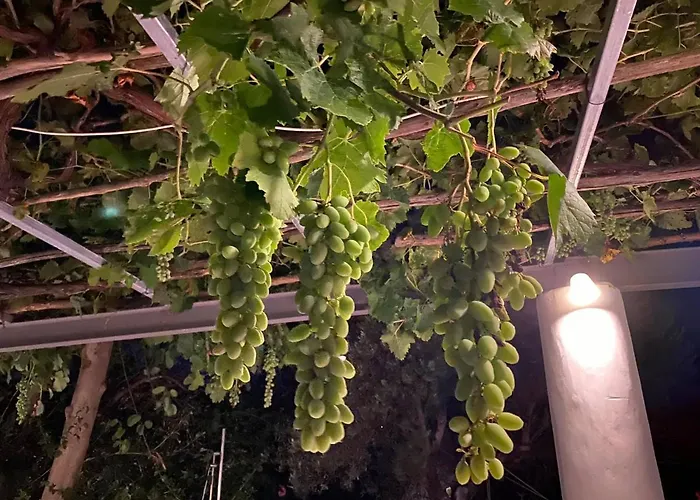 Villa Oliveyard Stone Built House- With Pool Non Chlorin Koskinou (Rhodes)