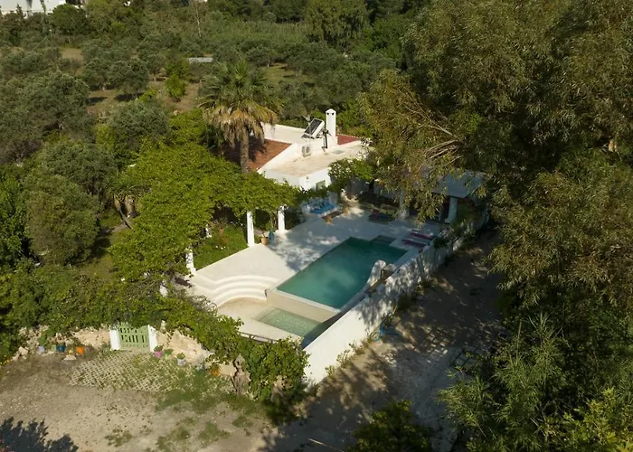 Villa Oliveyard Stone Built House- With Pool Non Chlorin