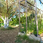 Villa Oliveyard Stone Built House- With Pool Non Chlorin Koszkinú
