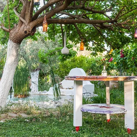 Villa Oliveyard Stone Built House- With Pool Non Chlorin Koskinou (Rhodes)