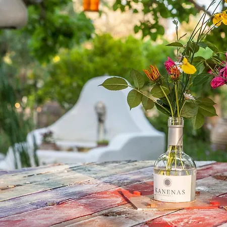 Oliveyard Stone Built House- With Pool Non Chlorin Villa Koskinou (Rhodes)