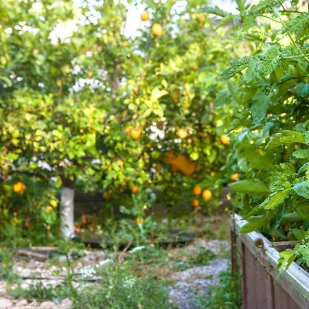 Oliveyard Stone Built House- With Pool Non Chlorin Villa Koskinou (Rhodes)