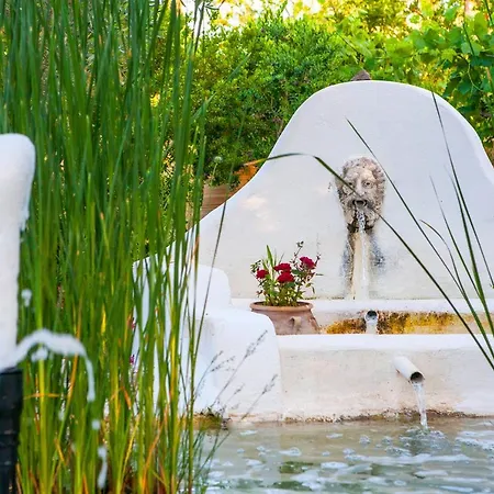 Oliveyard Stone Built House- With Pool Non Chlorin *