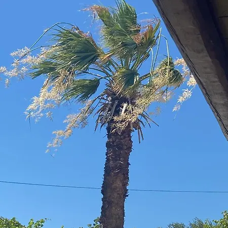 Villa Oliveyard Stone Built House- With Pool Non Chlorin Koskinou (Rhodes)