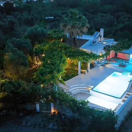 Oliveyard Stone Built House- With Pool Non Chlorin Villa