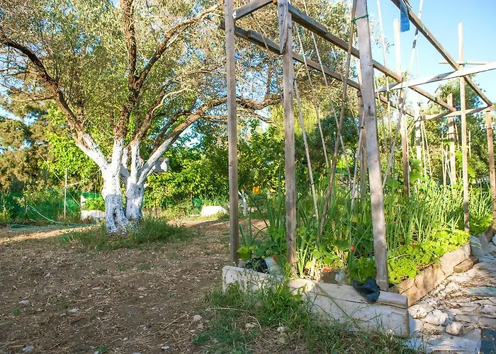 Villa Oliveyard Stone Built House- With Pool Non Chlorin Koskinou (Rhodes)