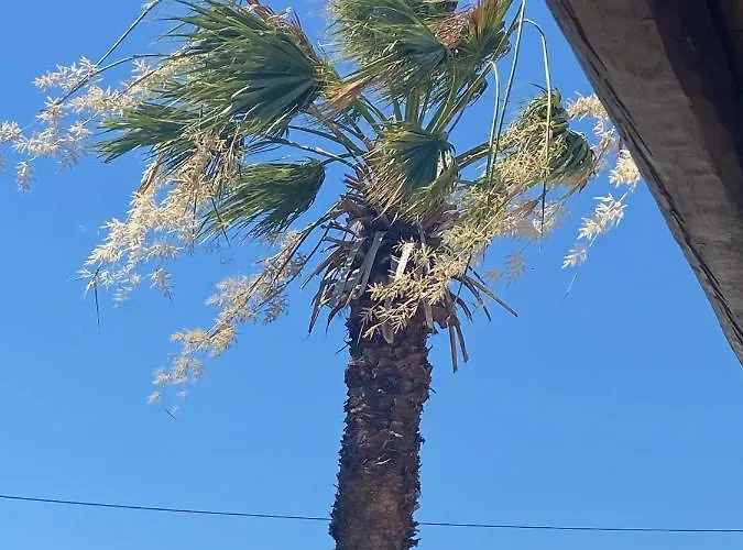 Villa Oliveyard Stone Built House- With Pool Non Chlorin Koskinou (Rhodes)