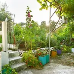 Oliveyard Stone Built House- With Pool Non Chlorin 别墅 *