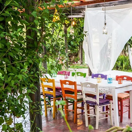 Oliveyard Stone Built House- With Pool Non Chlorin וילה *