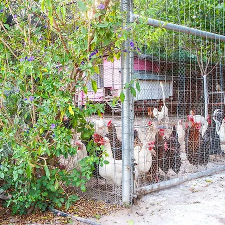 וילה Oliveyard Stone Built House- With Pool Non Chlorin Koskinou (Rhodes)