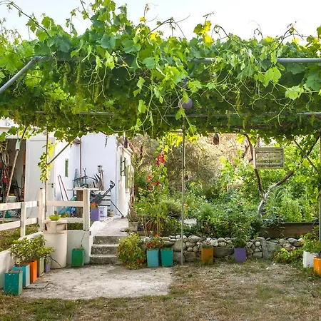 Oliveyard Stone Built House- With Pool Non Chlorin Villa