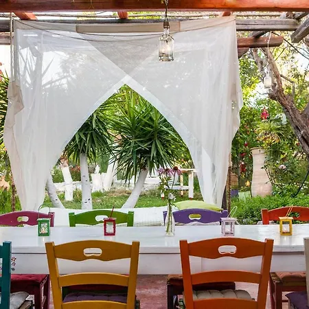 Oliveyard Stone Built House- With Pool Non Chlorin