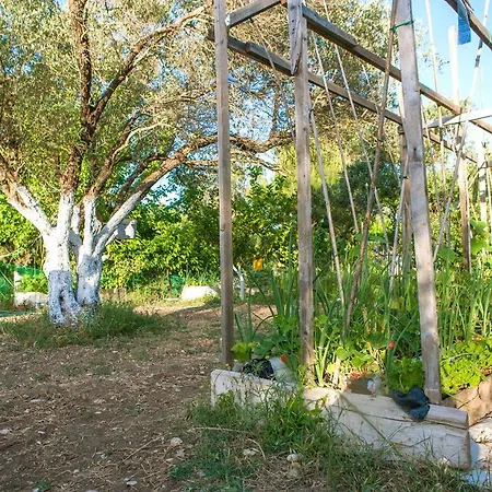 Villa Oliveyard Stone Built House- With Pool Non Chlorin Koskinou (Rhodes)