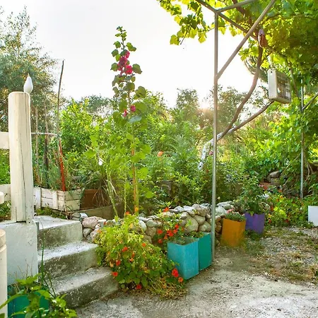 Oliveyard Stone Built House- With Pool Non Chlorin וילה *