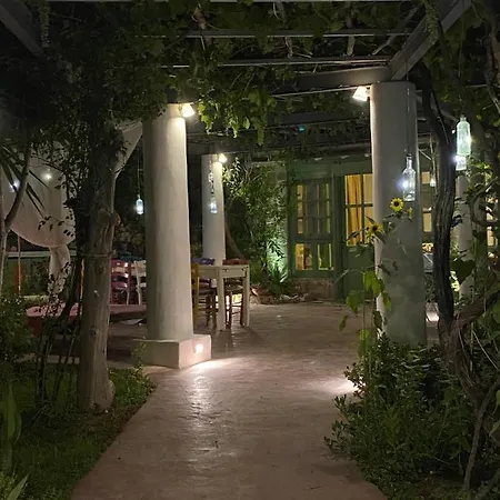 וילה Oliveyard Stone Built House- With Pool Non Chlorin