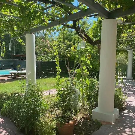 Oliveyard Stone Built House- With Pool Non Chlorin Villa