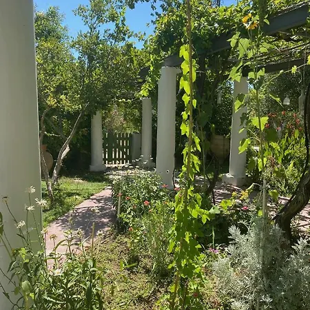 Oliveyard Stone Built House- With Pool Non Chlorin Villa