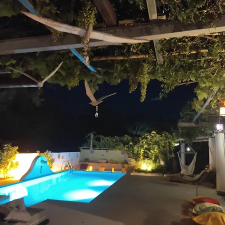 Villa Oliveyard Stone Built House- With Pool Non Chlorin Koskinou (Rhodes)