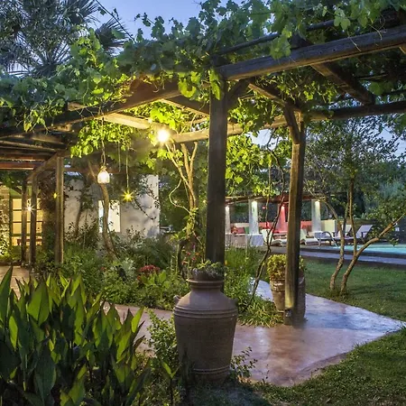 Oliveyard Stone Built House- With Pool Non Chlorin Villa