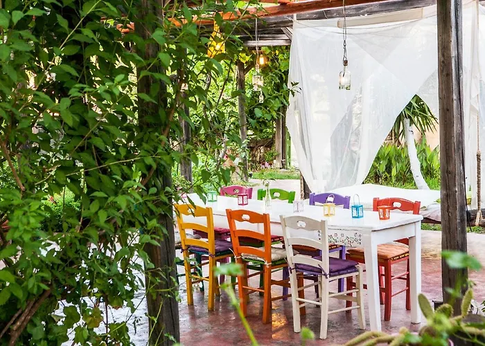 Oliveyard Stone Built House- With Pool Non Chlorin Villa *