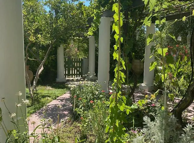 Oliveyard Stone Built House- With Pool Non Chlorin Villa